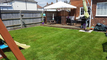 beautiful lawn treated by GreenThumb Salisbury