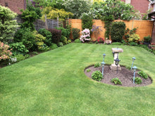 lush summer lawn treated by GreenThumb Blandford Forum