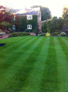 dark green lawn treated by GreenThumb Newcastle