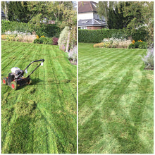 Scarification by GreenThumb Croydon and Bromley