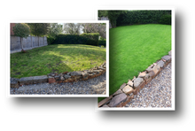 Lawn before treatment and after treatment by GreenThumb Stafford