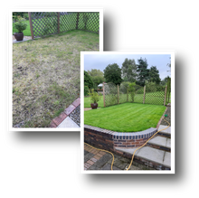 Lawn before treatment and after treatment by GreenThumb Stafford