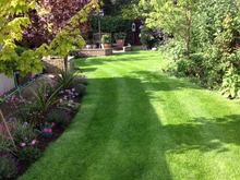 GreenThumb Louth stripey lawn with plants