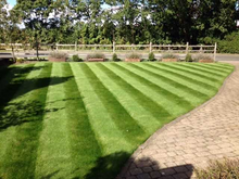 GreenThumb Louth stripey green lawn