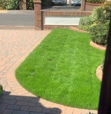 small lush lawn after being  treated by GreenThumb Worthing
