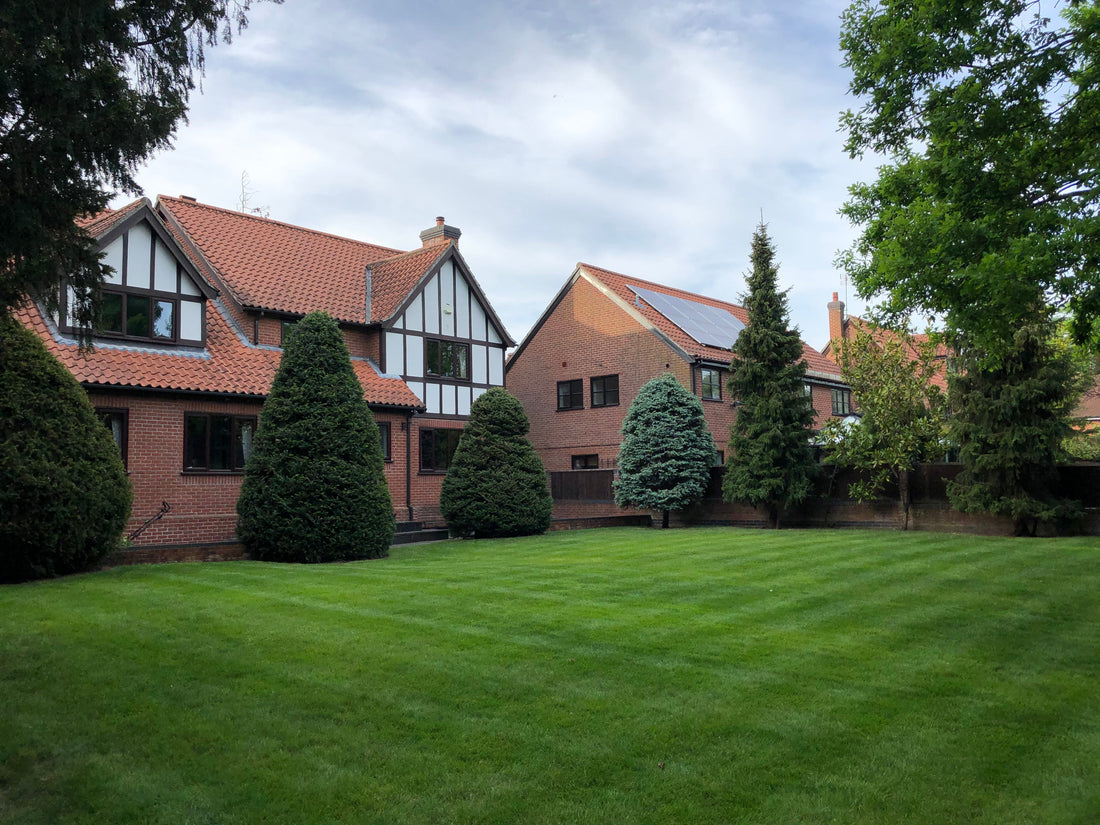 Beautiful GreenThumb Lawn, lawn refresh, lawn renovation, lawn makeover