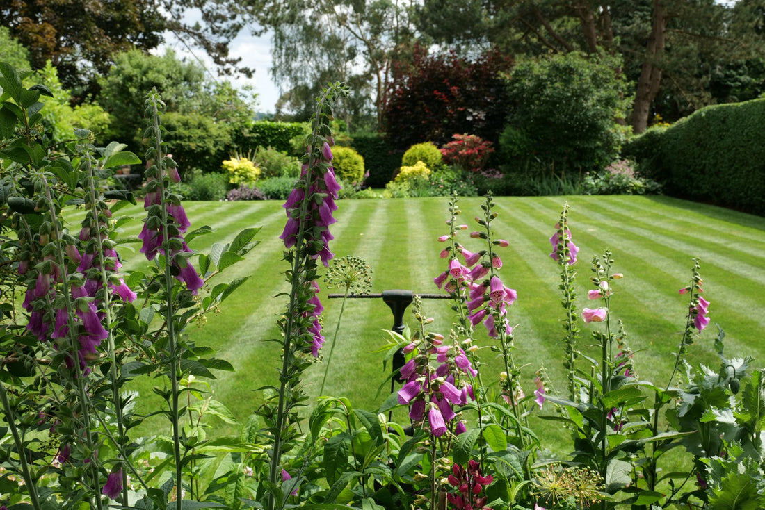 Effective Lawn Care in Heat Waves and Warm Weather