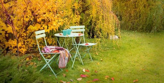 Essential Tips for Planting Trees and Shrubs in Autumn