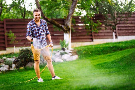 Essential Watering Tips for Your Lush Lawn