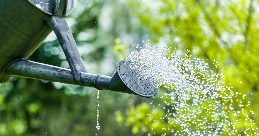 watering can with water coming out the spout