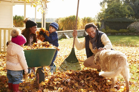 Family picking up fallen leaves in Autumn