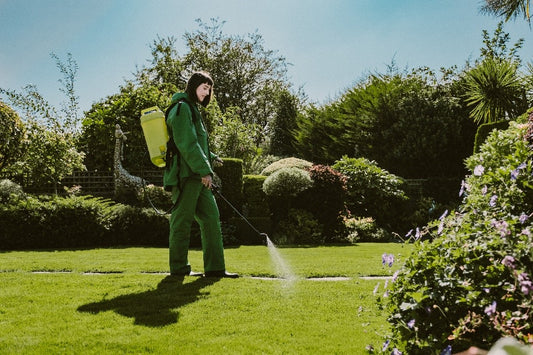 Lawn Operative spraying weeds on a GreenThumb lawn