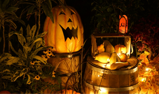 Halloween, Halloween Garden, Halloween Party, Halloween Lights