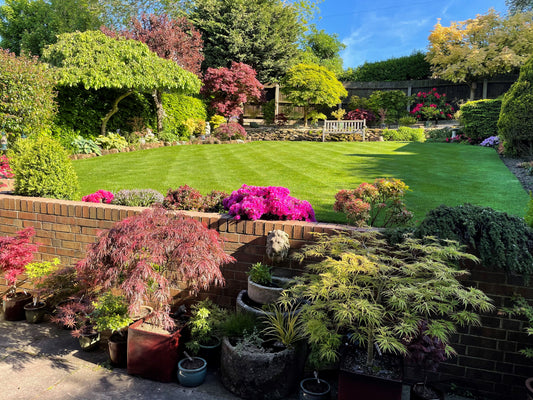 Oasis: The Future of Lawn Care