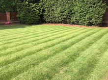 Striped lawn treated by GreenThumb Birmingham North