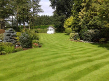 A beautiful, healthy lawn treated by GreenThumb Antrim North