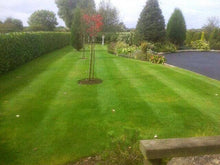 A lovely lawn treated by GreenThumb Antrim North