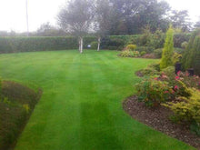 A lush lawn treated by GreenThumb Antrim North