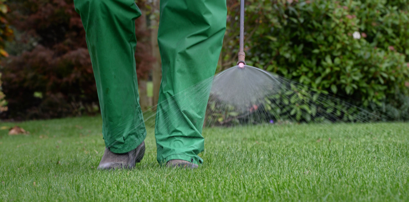 A person spraying a lawn with a liquid fertiliser, grass feed, winter lawn feed