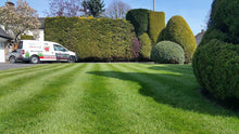 GreenThumb Lichfield beautiful striped lawn