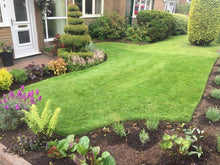 A lovely small lawn treated by GreenThumb Burnley