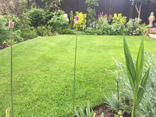 Lovey garden with a GreenThumb Burnley treated lawn