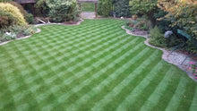 Checkerboard mowing pattern on a lawn treated by GreenThumb Bedford