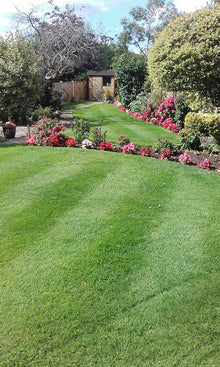 Lovely garden and a healty lawn treated by the GreenThumb Chepstow team