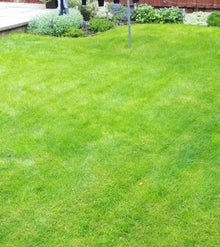 Green lawn treated by GreenThumb Manchester North West