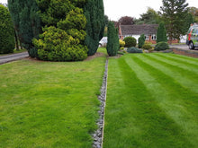 GreenThumb Lichfield treated lawn versus untreated lawn
