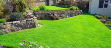 vibrant green  lawn treated by greenthumb chichester
