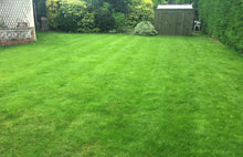 Green lawn treated by GreenThumb Flintshire
