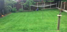 small lush lawn treated by GreenThumb Flintshire