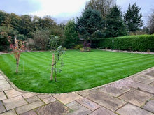 Beautiful lawn treated by GreenThumb Lancaster