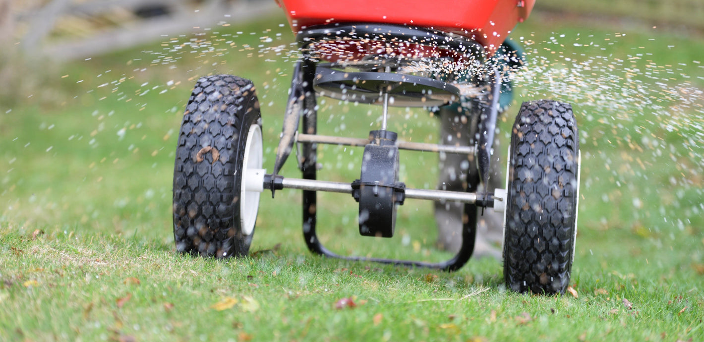 A wheeled manual machine spreading nutrients on a lawn, lawn feed, spring lawn feed, grass fertiliser