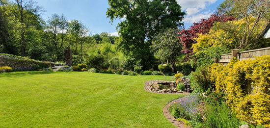 Lovely large GreenThumb lawn with blue skies 