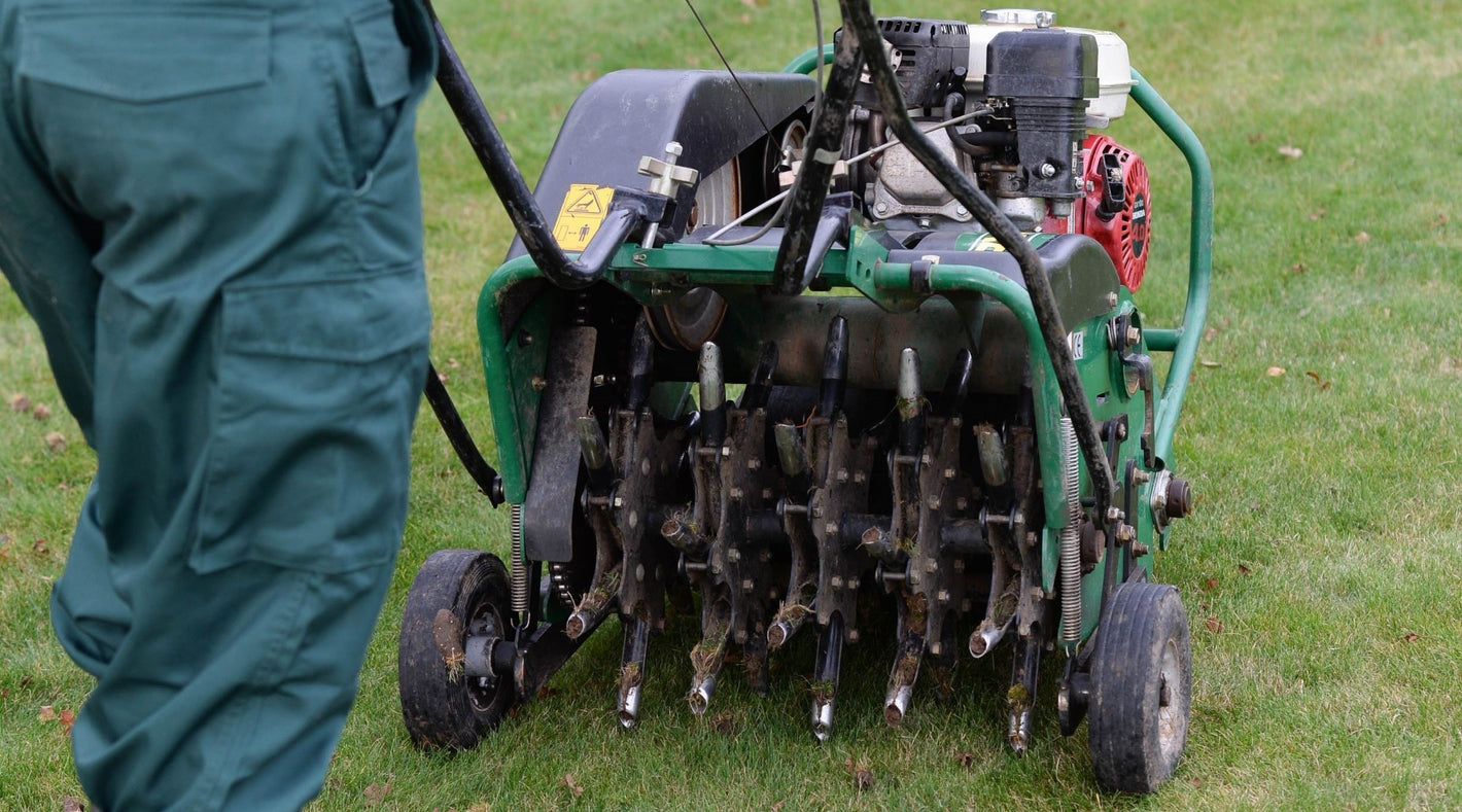 Aerator being used on a lawn, lawn aeration, aeration, grass aeration