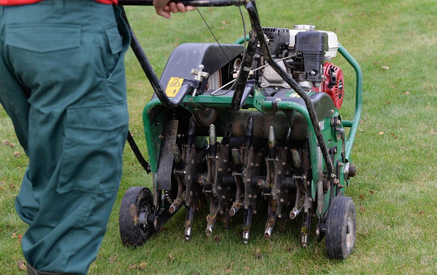 Lawn being professional aerated by GreenThumb