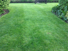 lush lawn treated by GreenThumb Gloucester