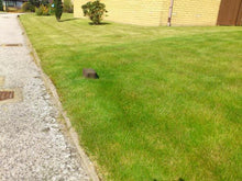 After GreenThumb Aberdeen treatment for pests showing good lawn recovery