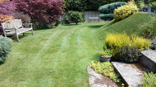 Green lawn surrounded by plants treated by GreenThumb Abergavenny