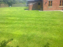 vibrant lawn treated by GreenThumb Abergavenny