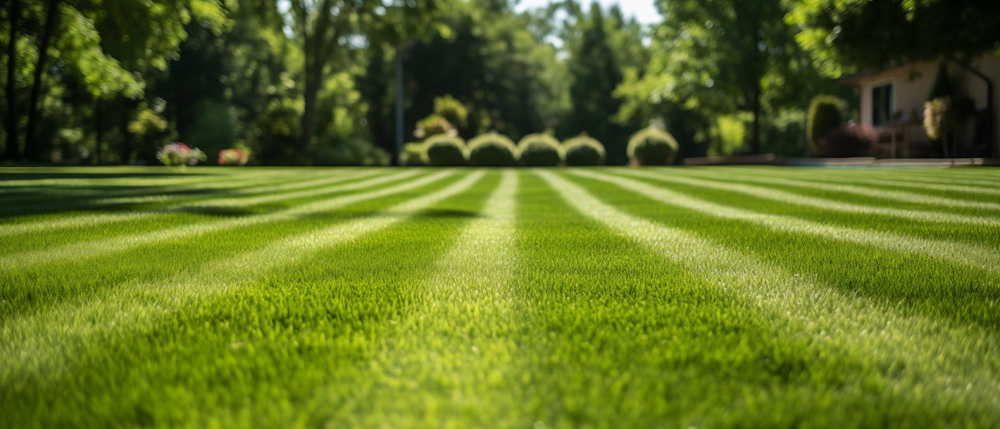 cutting grass