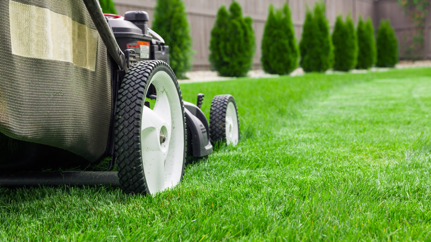 mowing your lawn and watering 