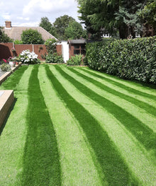 vibrant lawn with stripes treated by GreenThumb Gravesend