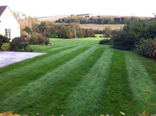 Stripes on a beautiful green lawn treated by GreenThumb Andover