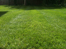 A beautiful green lawn treated by GreenThumb Andover