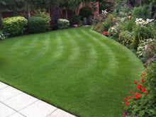GreenThumb Barnet Stripey Lawn with flower border