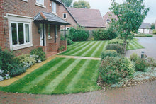 healthy striped lawn treated by GreenThumb Bedford