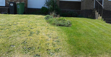 Lawn treated by GreenThumb Exeter vs a non GreenThumb lawn